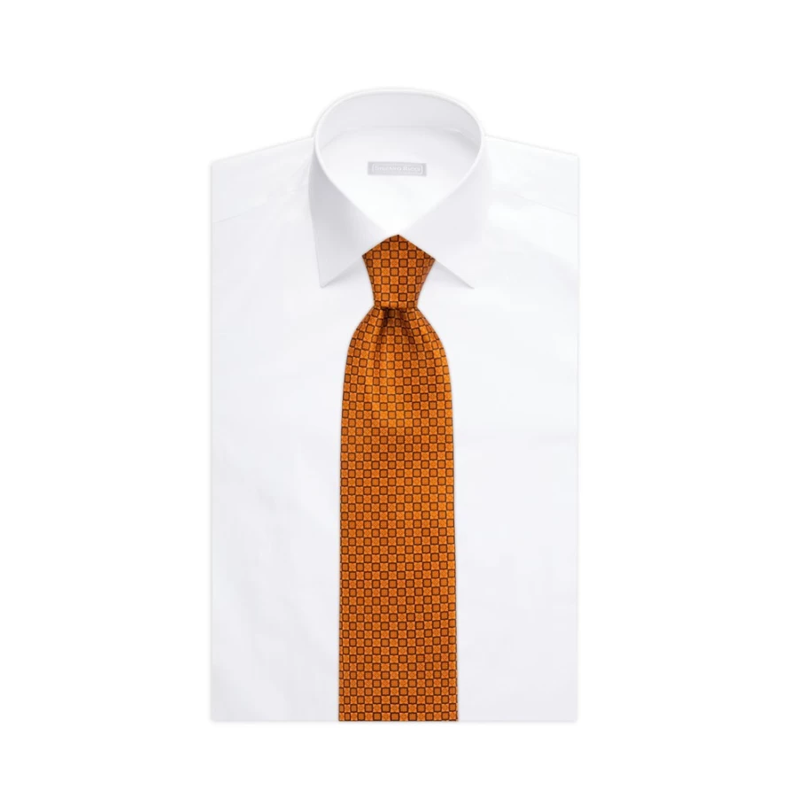 Stefano Ricci Luxury Hand-Printed Silk Tie in Elegant Color 47004_005
