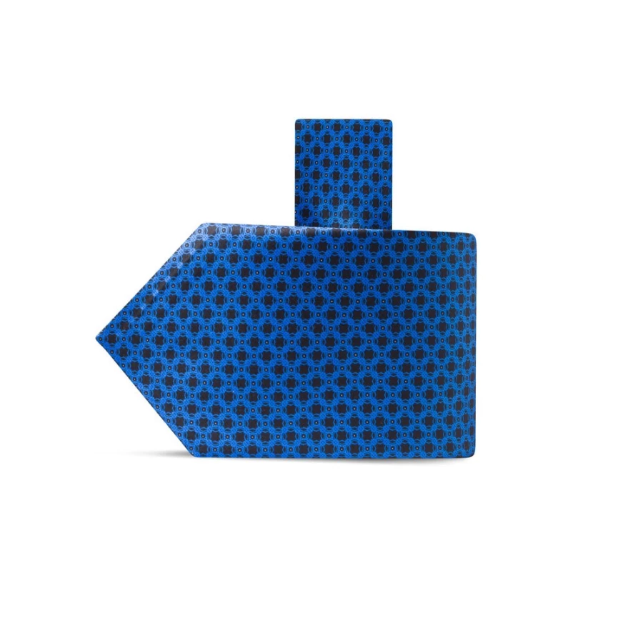 Stefano Ricci Luxury Hand-Printed Silk Tie in Elegant Design