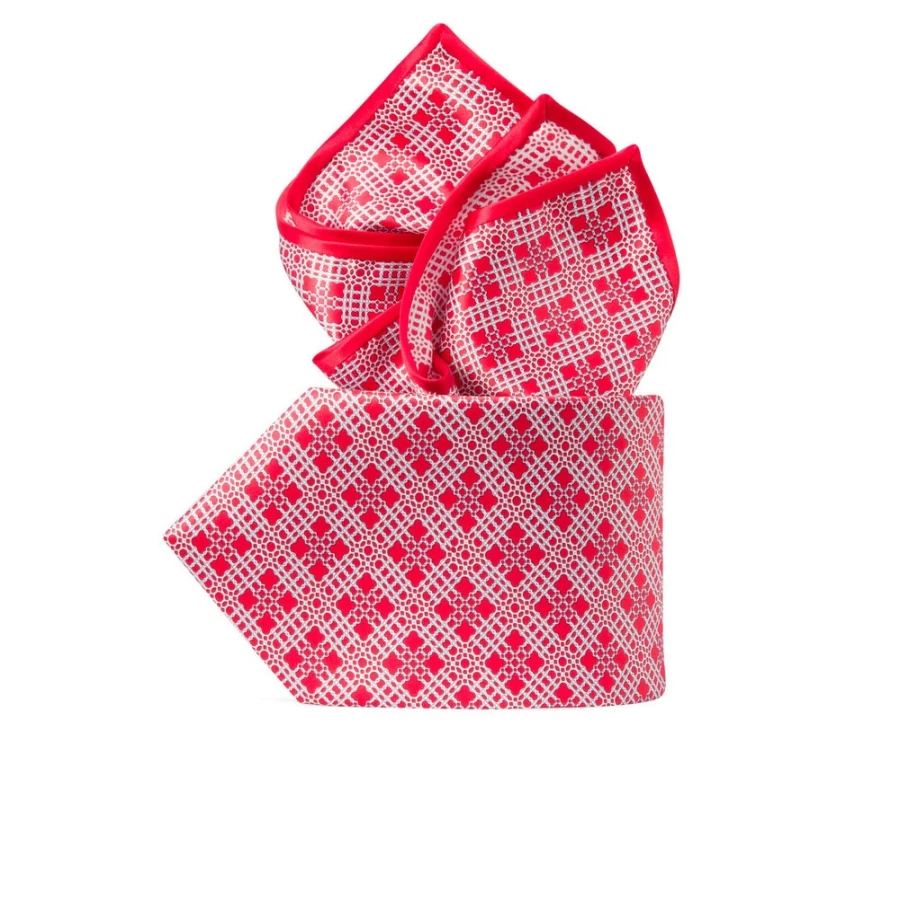 Stefano Ricci Luxury Hand-Printed Silk Tie Set in Elegant Color 47005_008