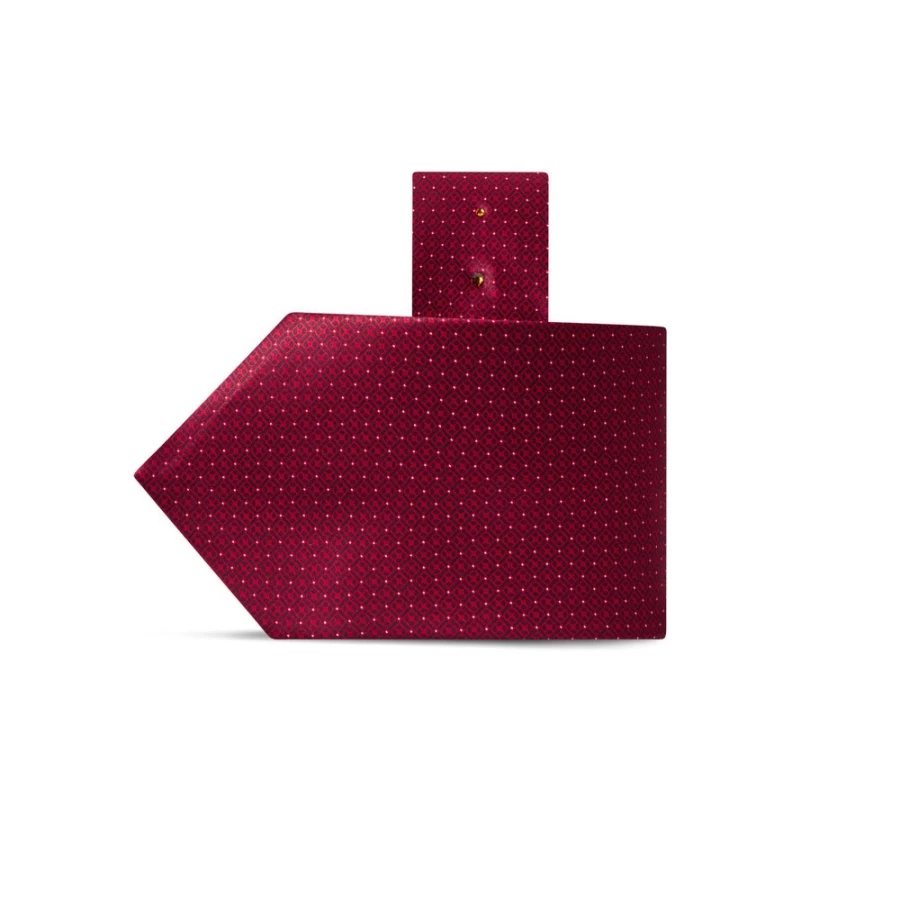 Stefano Ricci Luxury Hand-Printed Silk Tie in Elegant Color 45046_004