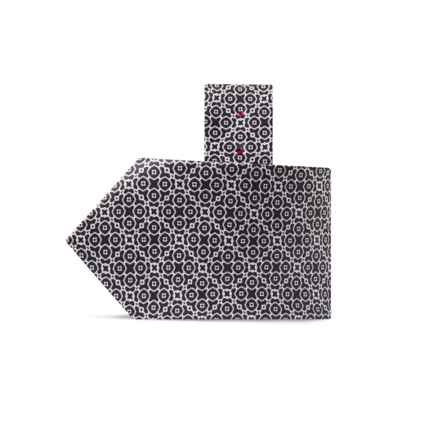 Stefano Ricci Luxury Hand-Printed Silk Tie in Elegant Color 45001_012