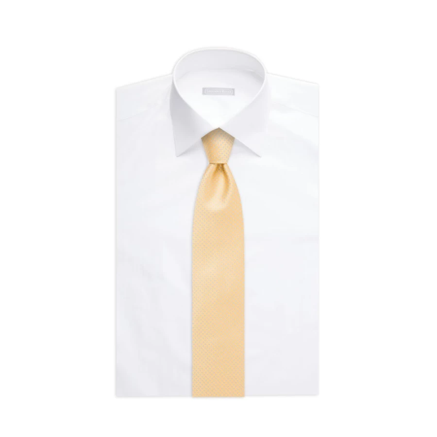 Stefano Ricci Luxury Handmade Silk Tie in Elegant Color 42009_006