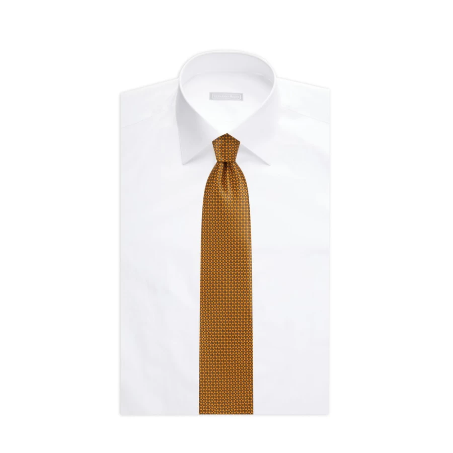 Stefano Ricci Luxury Hand-Printed Silk Tie in Elegant Color 37045_008