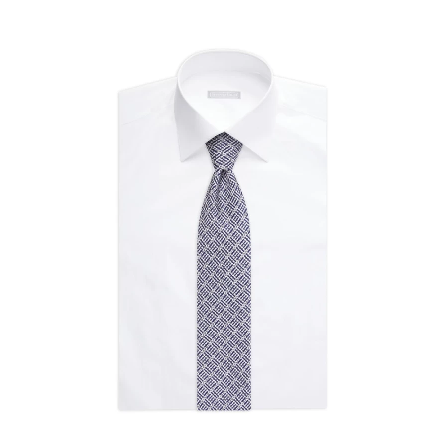 Stefano Ricci Luxury Hand-Printed Silk Tie in Elegant Color 37031_011