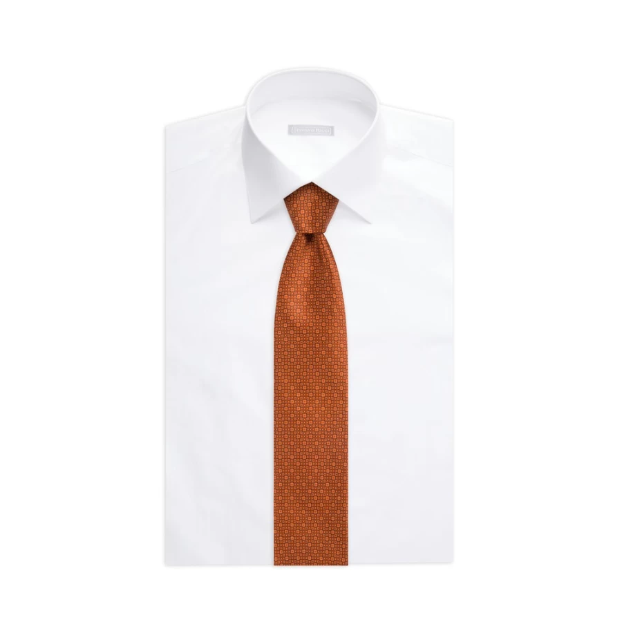 Stefano Ricci Luxury Hand-Printed Silk Tie in Elegant Color 45004_011