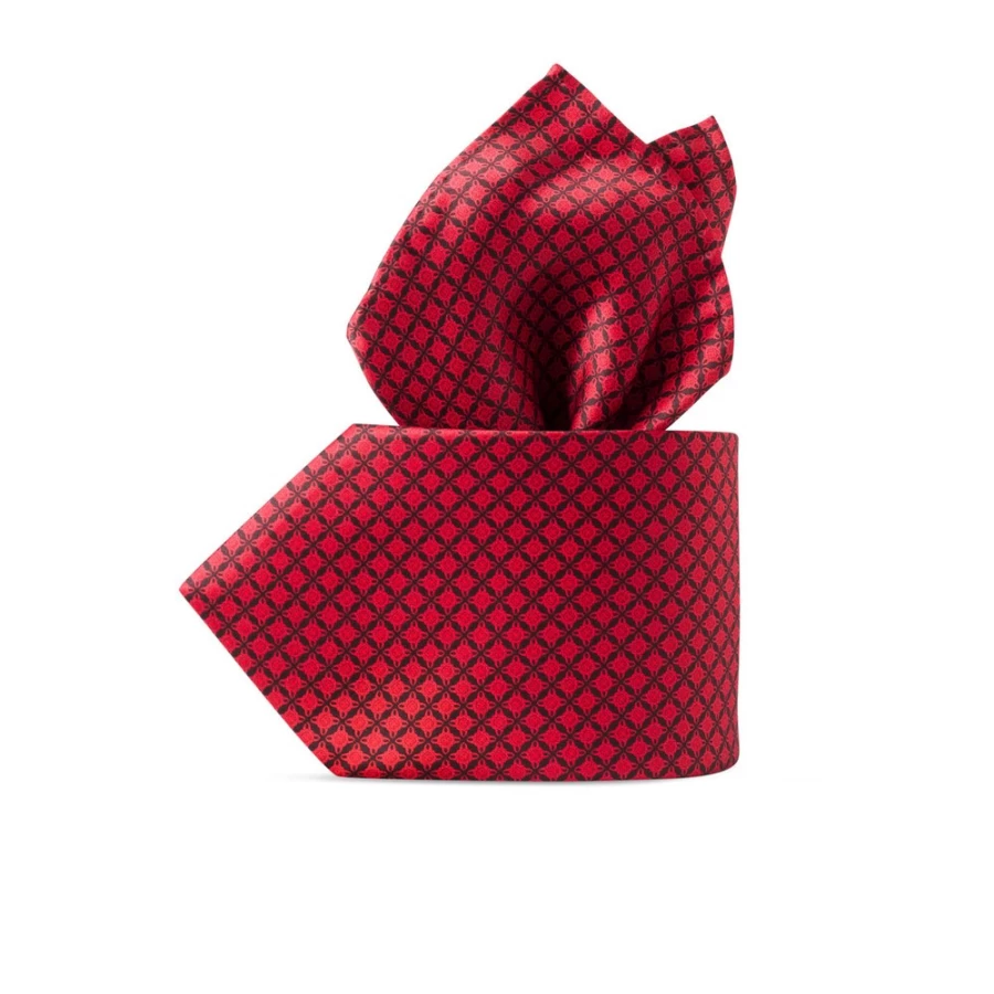 Stefano Ricci Luxury Hand-Printed Silk Tie Set in Elegant Color 43027_008
