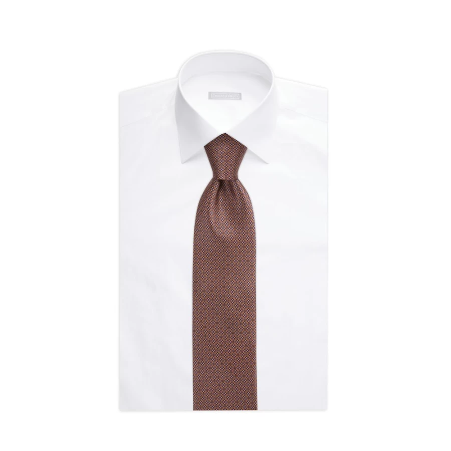 Stefano Ricci Luxury Hand-Printed Silk Tie in Elegant Color 47029_006