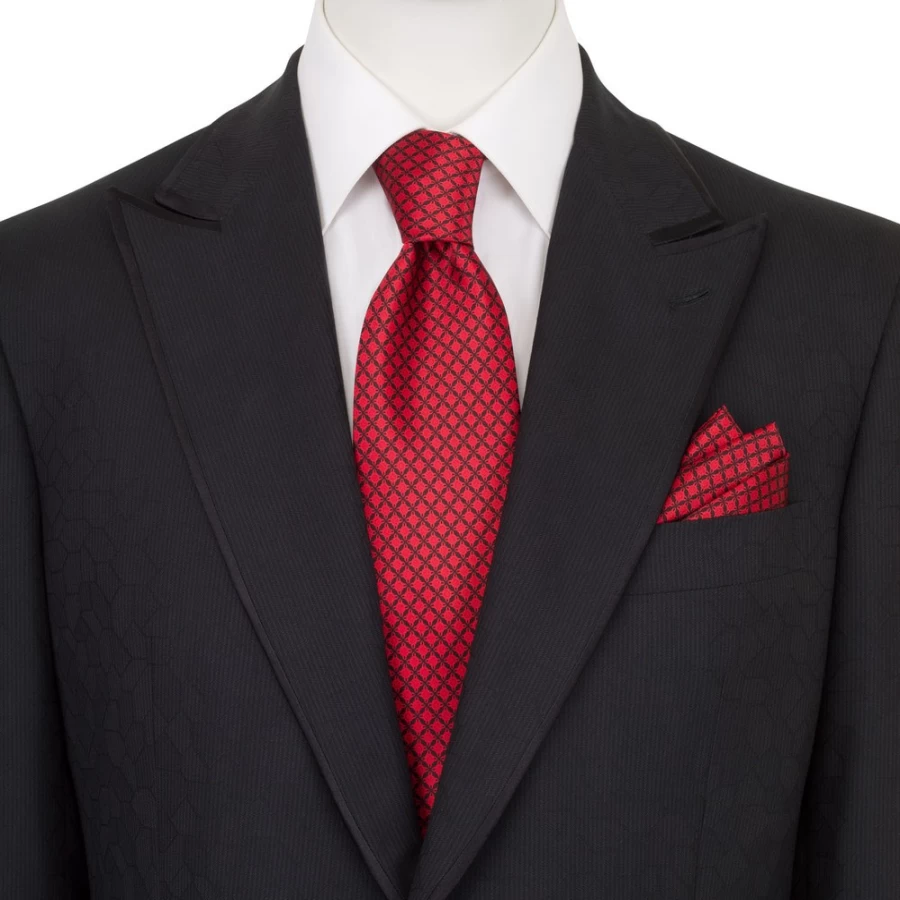 Stefano Ricci Luxury Hand-Printed Silk Tie Set in Elegant Color 43027_008