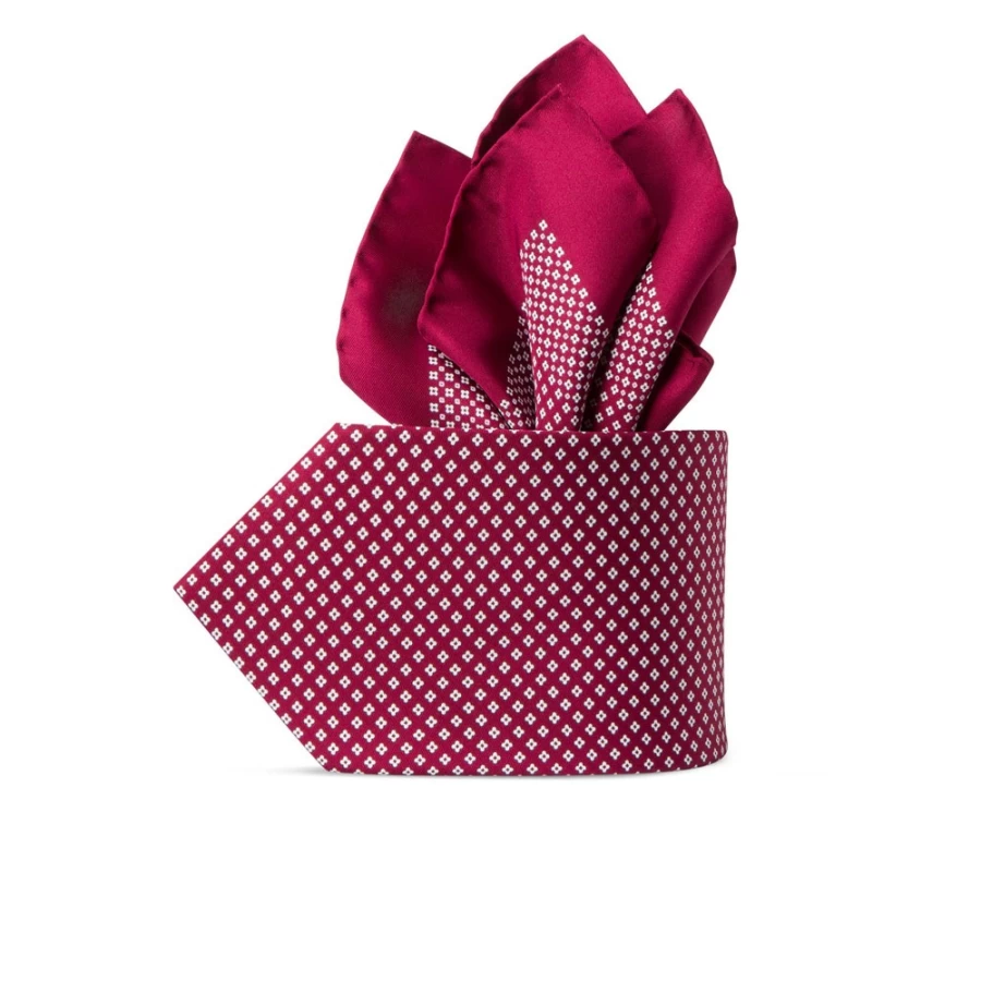 Stefano Ricci Luxury Hand-Printed Silk Tie Set in Elegant Color 39100_005