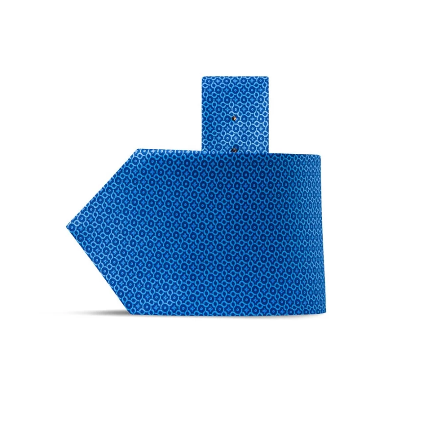 Stefano Ricci Luxury Hand-Printed Silk Tie in Elegant Color 37041_005