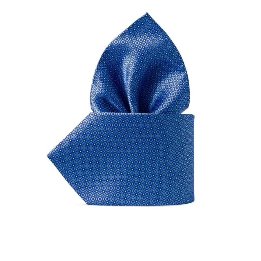 Stefano Ricci Luxury Hand-Printed Silk Tie Set in Elegant Color 43028_001