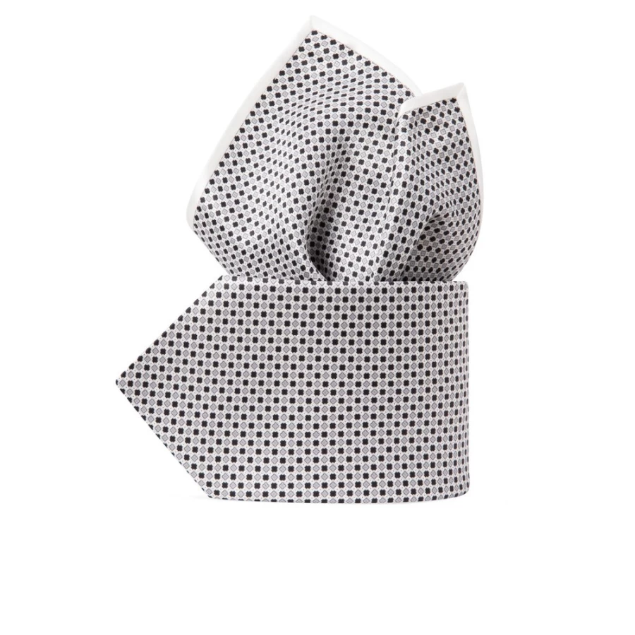 Stefano Ricci Luxury Hand-Printed Silk Tie Set in Elegant Color 47002_004