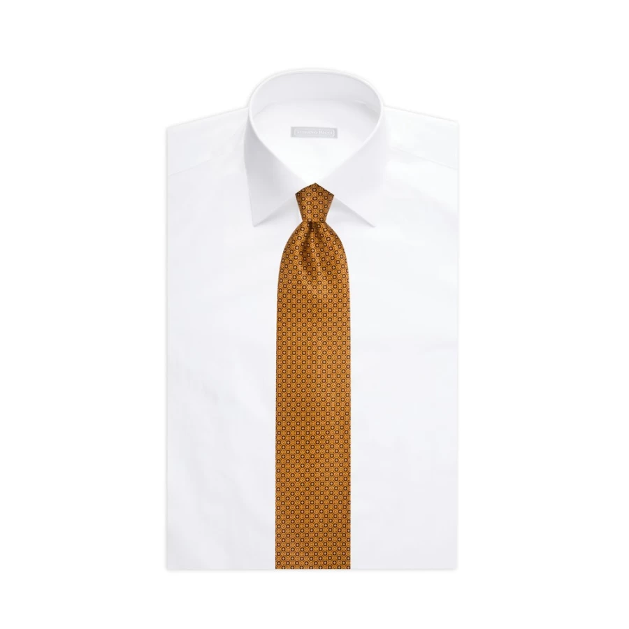 Stefano Ricci Luxury Hand-Printed Silk Tie in Elegant Design