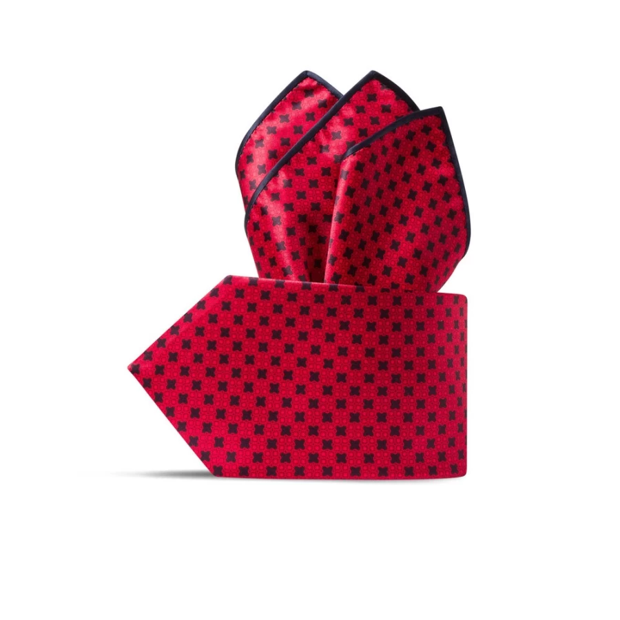 Stefano Ricci Luxury Hand-Printed Silk Tie Set in Elegant Color 37003_002