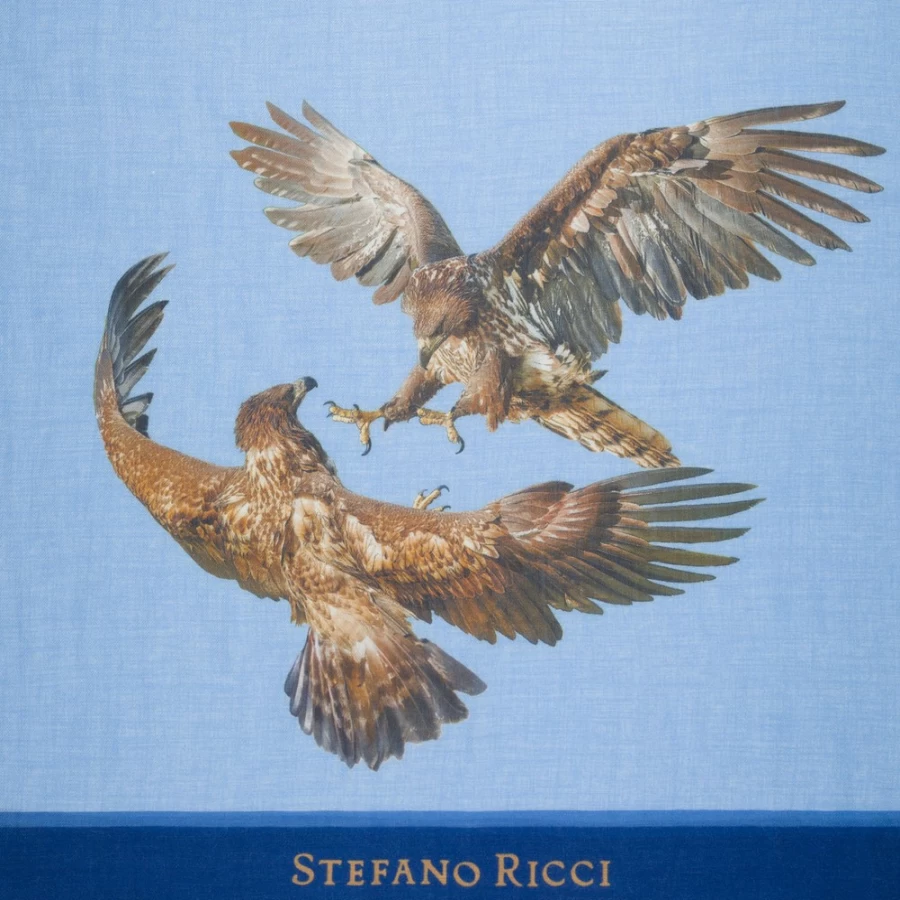Stefano Ricci Luxury Cashmere Scarf in Elegant Shade B058 for Men & Women