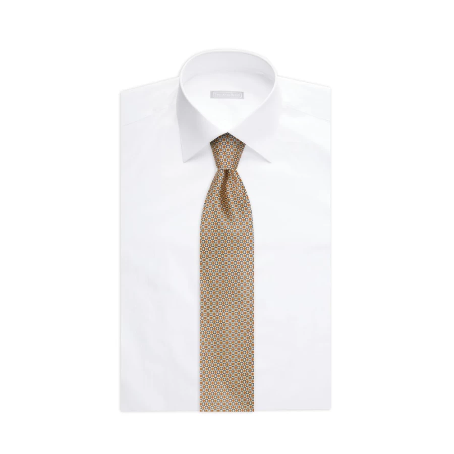 Stefano Ricci Luxury Hand-Printed Silk Tie in Elegant Color 37035_013