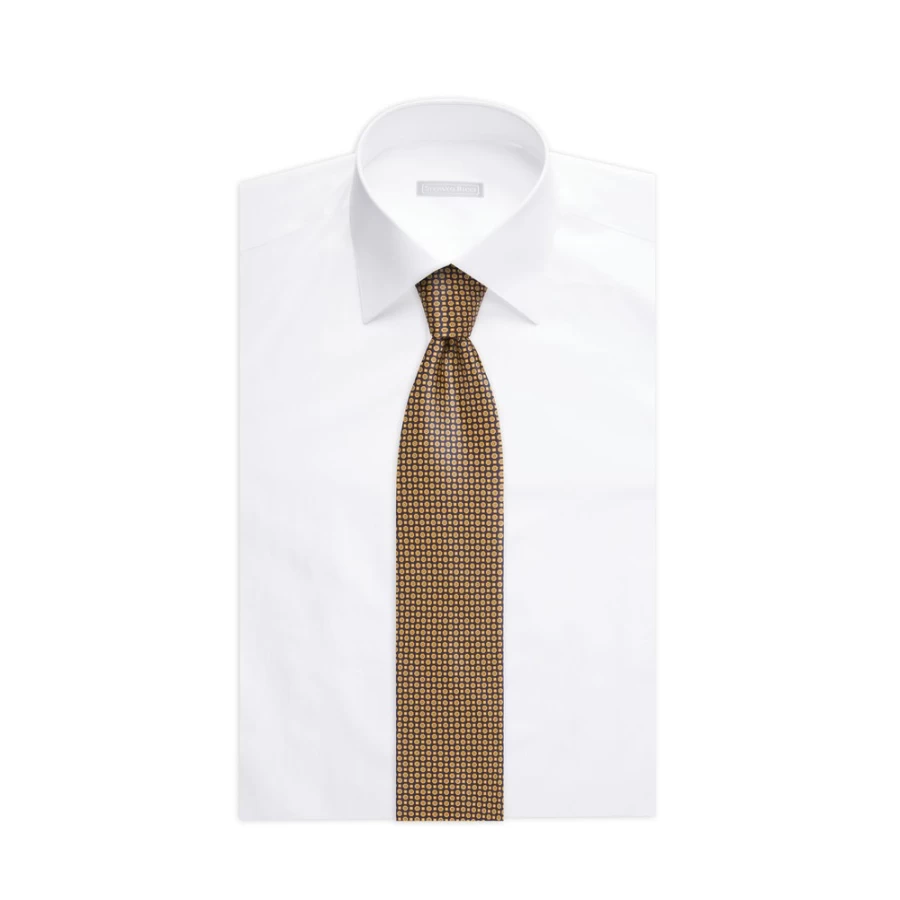 Stefano Ricci Luxury Hand-Printed Silk Tie in Elegant Color 45031_001