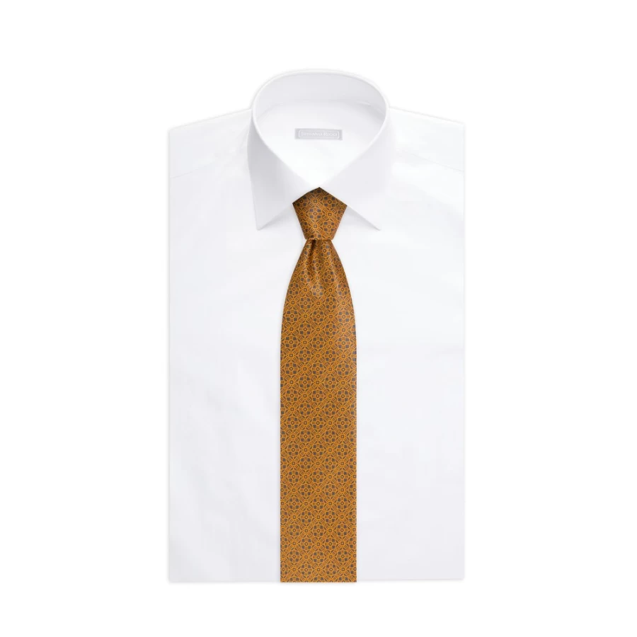 Stefano Ricci Luxury Hand-Printed Silk Tie in Elegant Color 37004_009