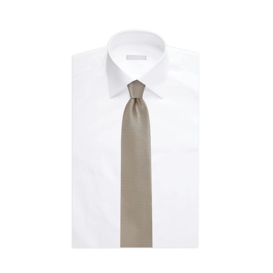Stefano Ricci Luxury Hand-Printed Silk Tie in Elegant Color 37034_010