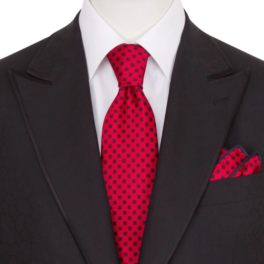 Stefano Ricci Luxury Hand-Printed Silk Tie Set in Elegant Color 37003_002